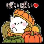 秋の気づかいのできるネコ♪飛び出す！