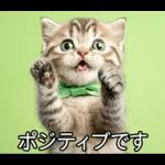 ENFPにゃんこスタンプ