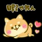 ゆるっとかわいい日常メッセージ☆