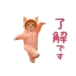 秘密のギフトが開封待ち