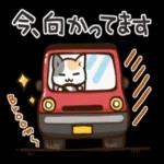 水分補給
・しっかり
ね!