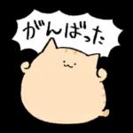 今日も1日
がんばろー!