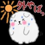 cute white Pomeranian summer 3