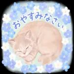 かわいらしい小さな花だ
