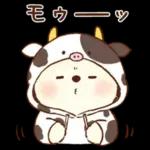 Premium ほんわか♪もこもこくまさん