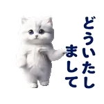 踊る！ペルシャ猫