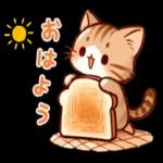 かわいい猫😺が来ますよ！