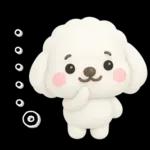 ず～っと使える♡かわいいトイプーさん♡白