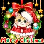 大事なものが 後から 遅れて くることも あるのよ 愛情だって 生活だって