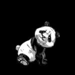 panda123のスタンプ