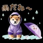 今日も頑張ったね！！