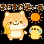秋に役立つ♡豆柴日和