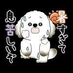 動く犬さん 2025 「暑い夏」