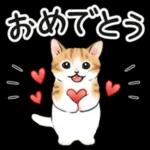 毎日☆猫たちのスタンプ