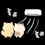 となりのにゃんこ　summer2022