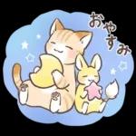 スナネコのサシャ 2