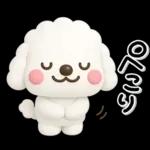 ず～っと使える♡かわいいトイプーさん♡白