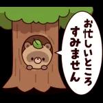 ポップアップ！しゃべるタヌキ8