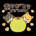 黒豆柴 あずき♡毎日使える 秋冬ver