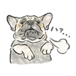 【動く】毎日使えるフレンチブルドッグ