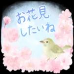 かわいらしい小さな花だ