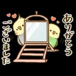 敬語が話せる！もふもふインコ