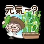 素敵シニア猛暑を乗り切る【文字大きめ】9