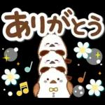 シマエナガの毎日の健康管理と疲労を応援♪