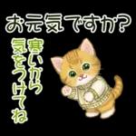 冬のキラキラおめめの子猫ちゃん