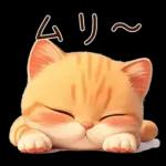 ぽっちゃりちび橘猫2