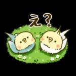 敬語が話せる！もふもふインコ