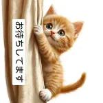 かわいい子猫がおはようございます