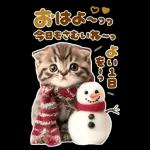 大きく表示♡冬にゃんこ