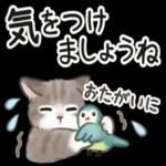 夏☆猫たちのスタンプ_-_