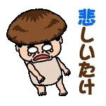 ずっと使える毎日ことば＊