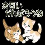 お互いがんばろ！！！