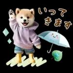 今日も頑張ったね！！