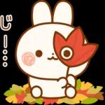 日々の気温変化が大きい 	体調を気をつけてね