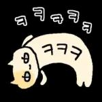 말수가 적은 고양이