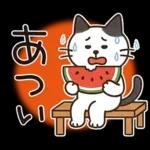 猫ちゃんとスイーツと夏