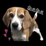 4時の楽しみ🥳🥳🥳	新しいスタンプを見逃さないで