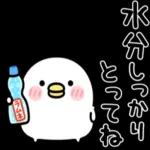 ちびトリ★夏の気づかい