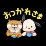 可愛い嘘のカワウソ×サンリオキャラ