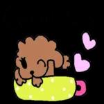 ゆるっとかわいい毎日ことば☆