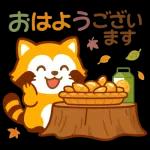 ほっこり秋タヌキ～～