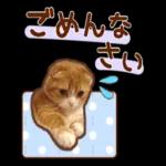 たれ耳ねこちゃん_見やすい！使いやすい♪