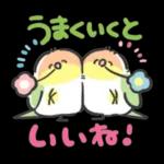 可愛いインコちゃんと一緒に冬を過ごしましょう！