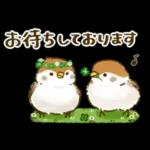 敬語が話せる！もふもふインコ