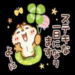 大人かわいい癒しカスタム【冬】