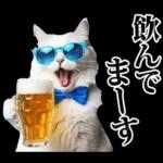 夏☆にゃんこ